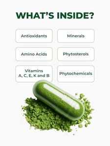 Capsules et poudre de feuilles de Moringa biologiques OEM/ODM, origine unique, antioxydant, métabolisme énergétique et soutien immunitaire pour adultes - Product Image 5