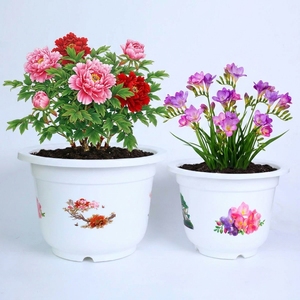 Macetas de Plástico Blancas con Estampados Florales para Plantas de Interior, Macetas Decorativas para Flores y Vegetación, Gran Venta - Product Image 1