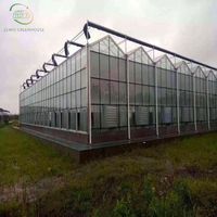 Serre verte personnalisée équipement feuille de verre agricole serre avec système de culture de tomates grand verre hydroponique en verre