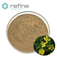 Extrait de racine de Potentilla Alba en poudre 10:1, extrait naturel de Cinquefoil blanc en vrac, fourni par l'usine