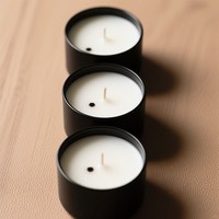 Huile parfumée pour bougies Woody Sage, vente en gros, directement de l'usine, parfum longue durée, pour la fabrication de bougies en cire de soja