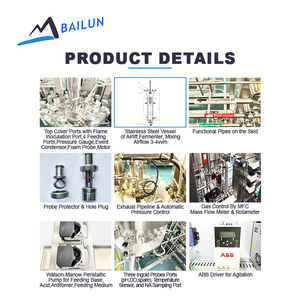 เครื่องหมักแบบวนวนอากาศเครื่องหมักแบบวงกลม100ลิตรเครื่องปฏิกรณ์ชีวภาพเครื่องปฏิกรณ์ชีวภาพ - Product Image 2