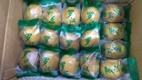 Produit phare : Fruit du moine (Luo Han Guo) entier séché, qualité AA, pour thé santé, conditionnement en vrac (sacs et boîtes), 4 pièces/sac, 400 pièces/boîte