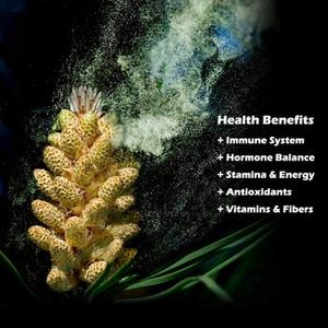 QINSHANTANG 소나무 꽃가루 분말 세포벽 파쇄 소나무 꽃가루 핀우스 분말 20:1 보충제 벌크 소나무 꽃가루 추출물 분말 - Product Image 5