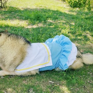 Jupon bouffant Pet Fairy Tale World, pour chats, Teddy, Golden Retrievers, Alaskan Malamutes, Huskies de Sibérie, vêtements printemps-été - Product Image 5