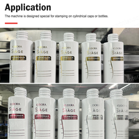 Presse à chaud pneumatique automatique APM H1S avec plaque d'impression pour le marquage à chaud des bouteilles en plastique, nouvelle certification CE