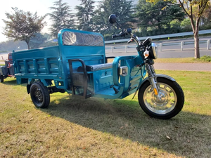 Camión Volquete Eléctrico Agrícola de Tres Ruedas de Servicio Pesado COC EEC 45KM/H 25KM/H en Almacén de Alemania - Product Image 3