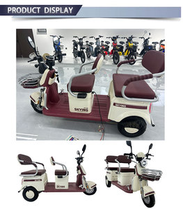 Triciclo Pedicab con Marco de Acero, 3 Velocidades, Motor de 48V 500W, Batería de Plomo-Ácido, Asiento para Pasajeros, 30-50Km/h - Product Image 2