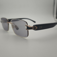 Lunettes de soleil intelligentes haut de gamme, verres électrochromiques, lunettes intelligentes électrochromiques avec verres changeant de couleur