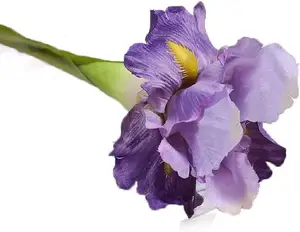 Artificiale vero tocco steli lunghi Iris seta artificiale irlanda fiore irlandese per la decorazione di nozze decorazioni floreali per la casa