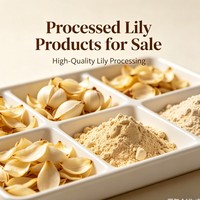 Lys séché en bulbe, matière première à l'arôme végétal doux, pour la préparation de boissons, desserts et soins quotidiens, additif végétal hydratant doux