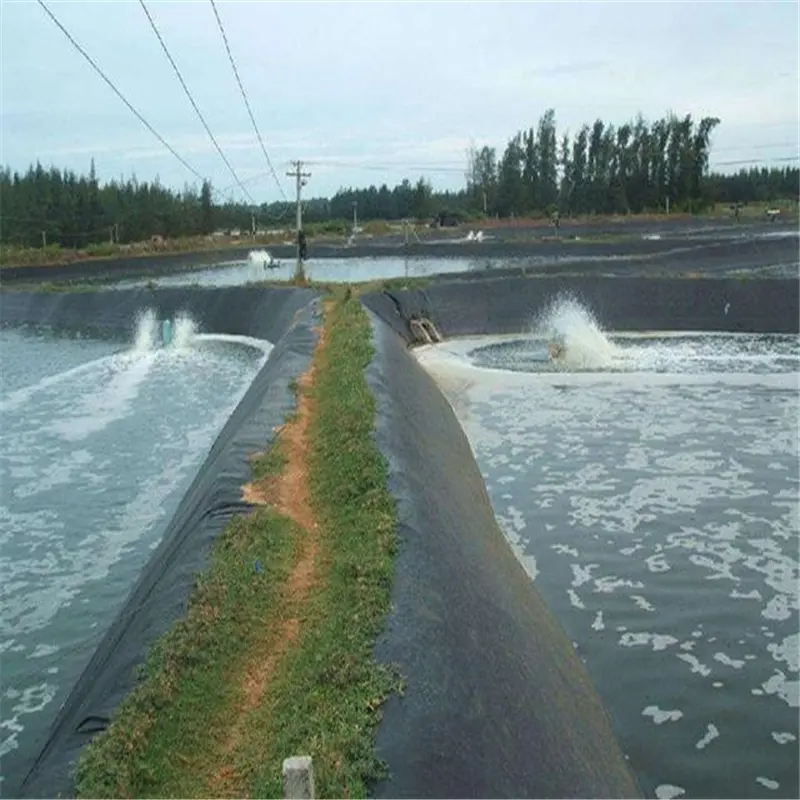 Revêtement d'étang imperméable pour lac et décharge, de bonne qualité, épaisseur personnalisable, géomembrane HDPE, 0.3-2.0mm