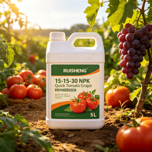 15-15-30 <span class=keywords><strong>NPK</strong></span> <span class=keywords><strong>Engrais</strong></span> rapide pour tomates et raisins 30% Potassium pour fruits plus gros, couleur plus riche, teneur en sucre améliorée, longue durée de conservation - Product Image 4