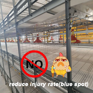 Thép mới h-loại Gà Thịt Gà pin lồng tự động động vật lồng cho gia cầm trang trại gà Coop cho gà thịt gà - Product Image 2