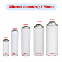 Bouteille aérosol vide en métal 52mm 57mm 65mm avec valve optionnelle, impression CMYK personnalisée, conteneur en fer blanc pour liquide nettoyant