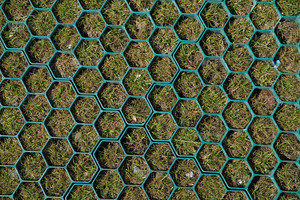 Grille de gazon en plastique HDPE pour drainage, allées de jardin, pentes, barrages, terrassements, parkings et aménagements paysagers - Product Image 5