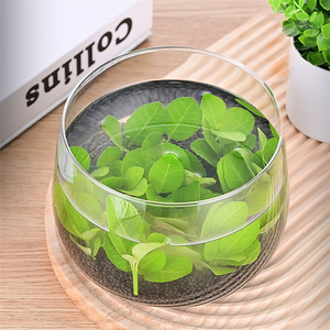 Décor à la maison Aquaponics plante <span class=keywords><strong>Terrarium</strong></span> aquarium clair hydroponique verre fait à la main noël moderne verre Vase fleurs en verre - Product Image 5