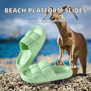 2024 Platform for Beach Non-Slip Open Toe Flip-Flops Women's Summer Autumn Spring <b>Fashion</b> Light Weight EVA Outdoor <b>Sandals</b> - Product Image 2