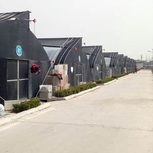 סין מפעל מחיר חקלאי מנהרת פטריות גידול חממה למכירה - Product Image 2