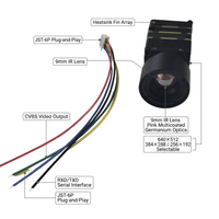 Caméra thermique FPV 256/384/640 9MM, caméra d'imagerie thermique pour drones FPV avec interface CVBS, module de caméra thermique micro