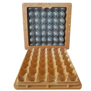 paper crate egg tray die mould for pulp products machine
