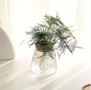 <span class=keywords><strong>Vaso</strong></span> di propagazione moderna <span class=keywords><strong>vaso</strong></span> di acqua idroponica fioriera supporto in <span class=keywords><strong>vetro</strong></span> trasparente pianta terrario con <span class=keywords><strong>coperchio</strong></span> in sughero e supporto in legno - Product Image 4