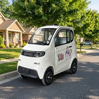Voiture électrique entièrement fermée pour personnes âgées, 4 places, cabine sécurisée, mini-voiture électrique pour le transport des seniors