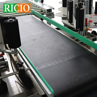 Machine d'étiquetage automatique RICIO OEM ODM pour boîtes en carton, auto-adhésive, double face (avant et arrière), pour le transport logistique