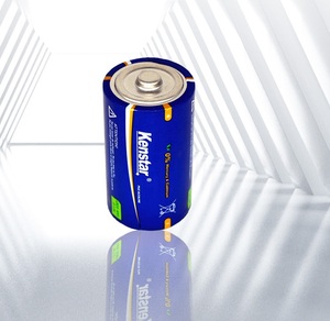 Batería Alcalina LR20 Tamaño D 1.5V para Dropshipping en Shopify, Larga Duración para Estufas de Gas, Linternas y Radios - Product Image 4
