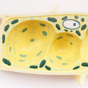 Recursos <span class=keywords><strong>de</strong></span> enseñanza médica Modelo <span class=keywords><strong>de</strong></span> célula <span class=keywords><strong>de</strong></span> planta médica Equipo <span class=keywords><strong>de</strong></span> modelo anatómico experimental para escuelas primarias y secundarias - Product Image 2