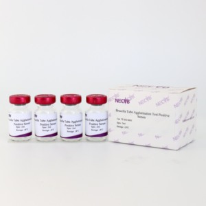 Prueba de control de anticuerpos positivos a Brucella para diagnóstico serológico de SAT/Brucelosis/pruebas de enfermedades en ganado - Product Image 1