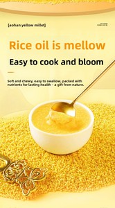 <span class=keywords><strong>Millet</strong></span> jaune biologique du Shanxi Chichuan 2,5 kg – Farine fraîche, parfumée, pour bouillie épaisse et collante - Product Image 4