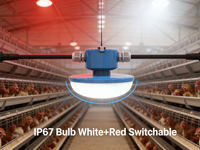 Éclairage LED pour poulailler 9W-15W AC100-265V IP67 avec couvercle transparent, sans scintillement, gradation, rouge et blanc commutable, 130lm/w, 5 ans de garantie