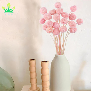20 pièces de fleurs séchées Craspedia Billy Ball Buttons <span class=keywords><strong>rose</strong></span> foncé, bouquets floraux pour arrangements de mariage, maison, vase haut, style bohème, festival - Product Image 4