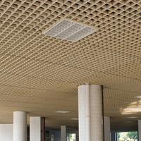 Panel de Techo Suspendido Abierto con Rejilla Decorativa de 2 Pies x 4 Pies para Interiores