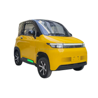 EEC L6e Petite voiture électrique chinoise Cyclomoteur électrique basse vitesse 45 km/h véhicules avec deux sièges avant fabriqués en Chine pour adultes