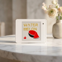 Sistem ESL Layar Eink Label Harga Digital Layar Eink Tahan Benturan untuk Toko Kelontong Apotek CE FCC