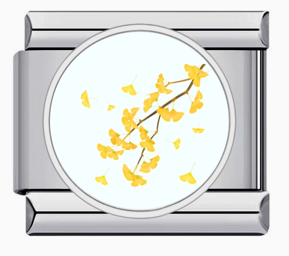 IC-i-5 Argent