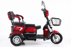 <span class=keywords><strong>Triciclo</strong></span> Eléctrico de 600W 800W para Adultos, Motocicleta de 3 Ruedas para Pasajeros o Reparto de Comida - Product Image 2