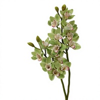 SPR Grosir Anggrek Cymbidium Buatan 7 Kepala, Bunga Putih & Hijau Lateks Sentuhan Asli untuk Dekorasi Pernikahan Natal Rumah.