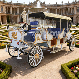 Voiture électrique royale multi-passagers blanche et bleue avec emblème doré pour les excursions panoramiques des châteaux - Product Image 3