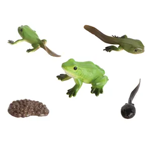 몬테소리 학습 모델 아이들을위한 현실적인 개구리 성장 수명주기 장난감