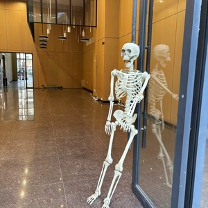 Oferta 2026: Esqueleto Humano Gigante Realista de 160 cm (60 Pulgadas/10 pies) para Decoración de Jardín, Ideal para Halloween - Product Image 3