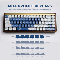 XVX Keycaps Blue and White Plum Shadow Ceramic Glaze Coating PBT Keycap Set 140-Key ANSI Layout Mechanical Keyboard