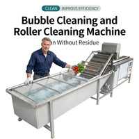 Groenteverwerkingsmachine voor commercieel horeca-gebruik Multifunctionele wasmachine met motorpomp voor het wassen van wortelen, fruit, maïs