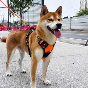 Dog <b>Harness</b> Vest Style Adjustable For Large Dogs Chest Strap Fabric Solid Color - Product Image 1