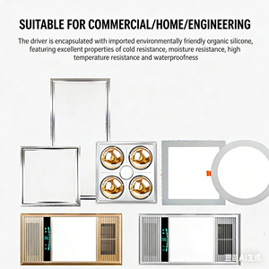 Controlador LED IP67 DC36-65V AC80-265V, Relleno Completo <span class=keywords><strong>de</strong></span> <span class=keywords><strong>Pegamento</strong></span>, Cable <span class=keywords><strong>de</strong></span> Goma, Resistente a Bajas Temperaturas, Suministro <span class=keywords><strong>de</strong></span> Controlador LED Impermeable - Product Image 6