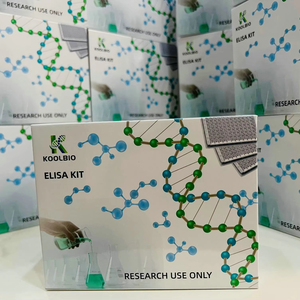 Human ATPase, NA +/K + transportion, Alpha 1 (ATP1a1) ชุด ELISA-ความไวสูง, 96-Well-สำหรับการวิจัย homeostasis ไอออน - Product Image 1