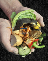 Machine à Compostage Alimentaire Écologique pour Grains de Café, Déchets de Fruits et Légumes