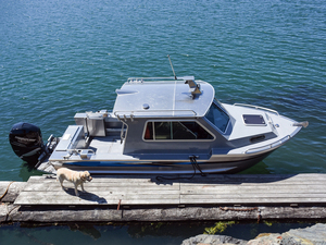 Imbarcazione <span class=keywords><strong>da</strong></span> Pattugliamento, <span class=keywords><strong>Lavoro</strong></span> e Pesca in Alluminio Saldato con Hard Top e Cabine <span class=keywords><strong>da</strong></span> 21 Piedi Nuovo Stile - Product Image 5